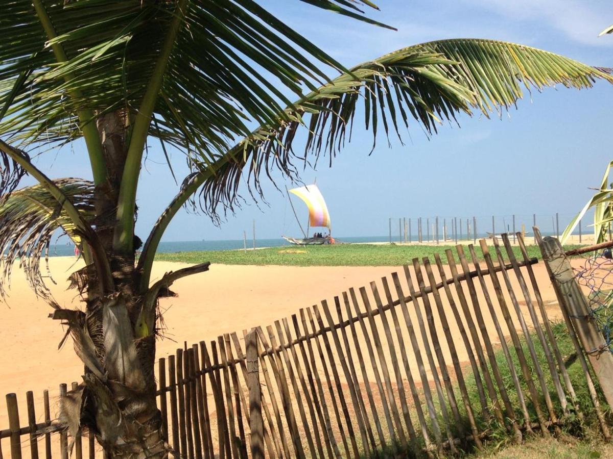 Tms Beach House Negombo Kültér fotó